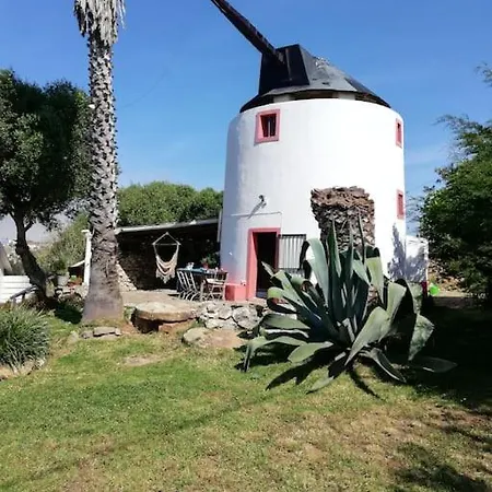 Windmill Of Wonders - Moinho Velho *